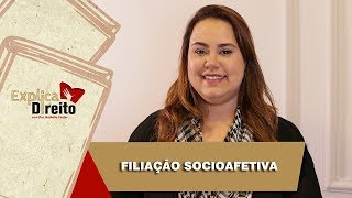 Explica Direito Filiação Socioafetiva  2019 [upl. by Yllier]